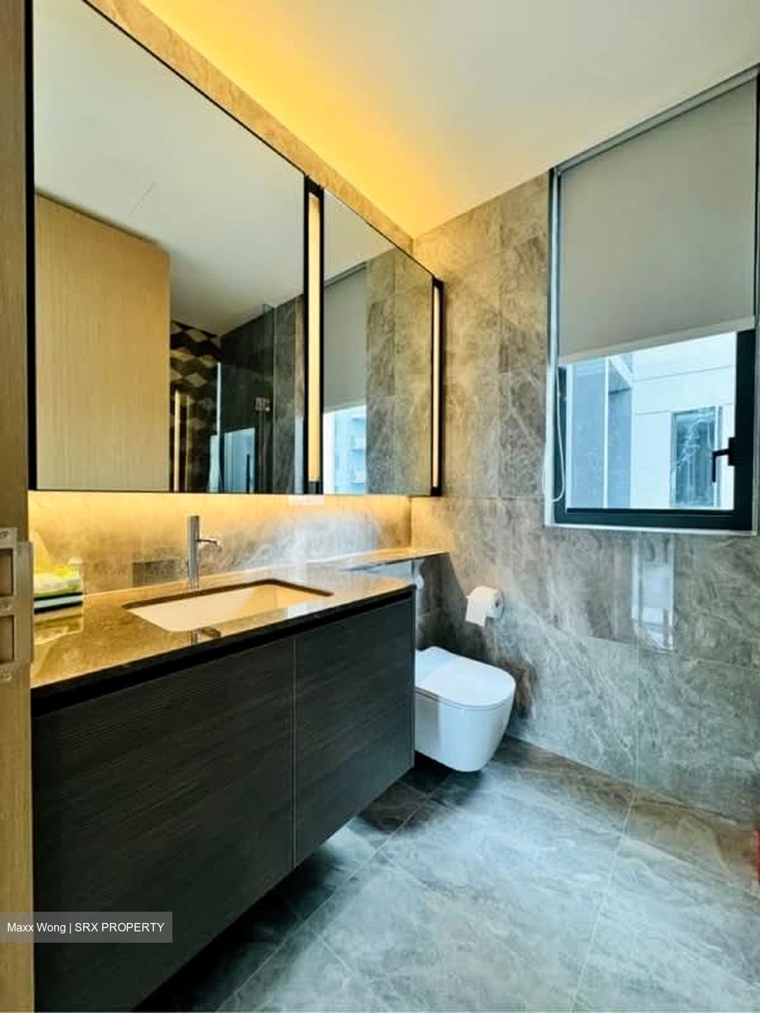 Leedon Green (D10), Condominium #580742911